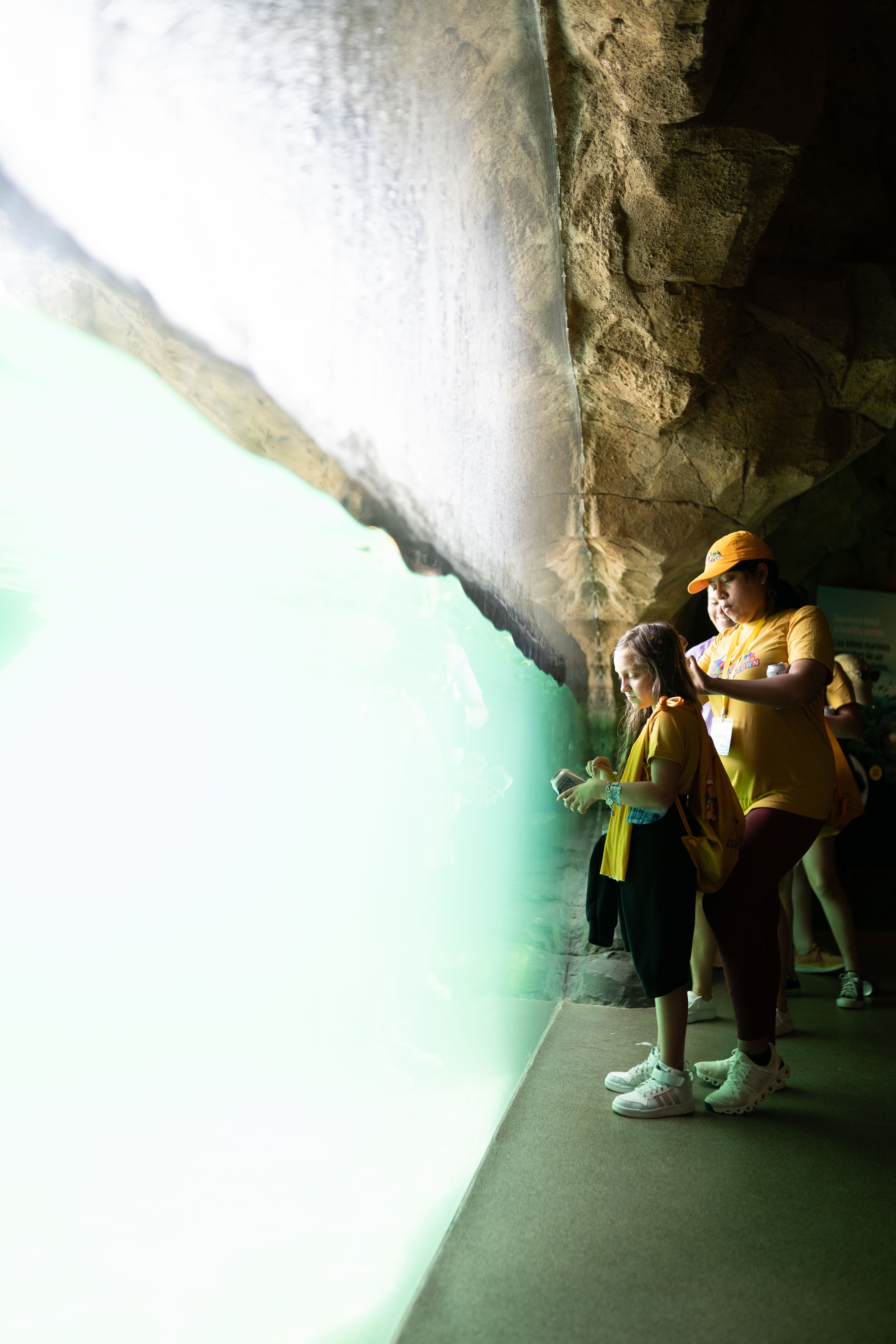 A child in a yellow shirt standing in front of a window into an aquarium tank.
